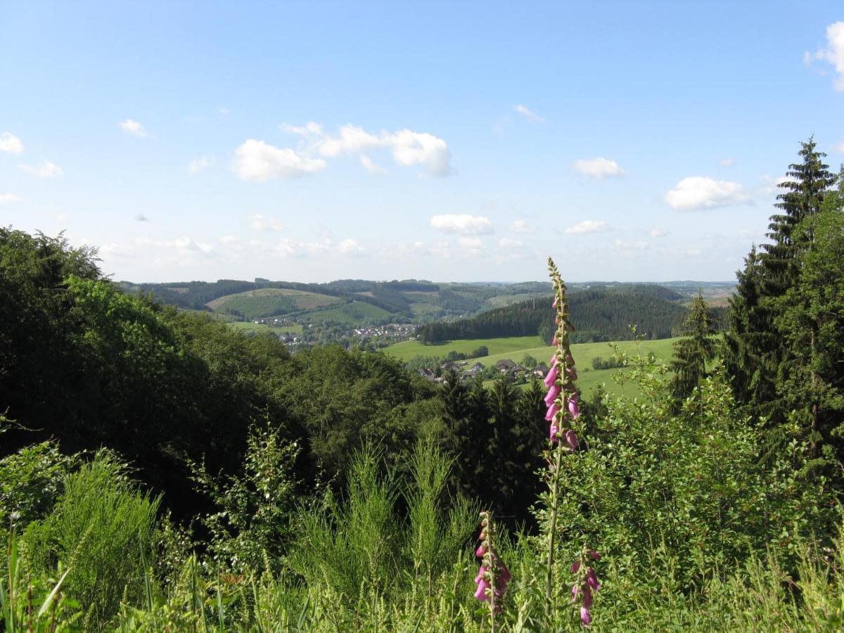 Апартаменты Urlaub Im Naturgarten Bergneustadt Экстерьер фото